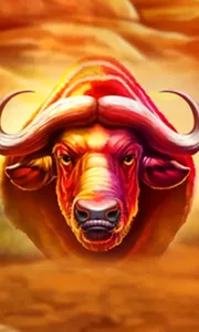Buffalo Hold and Win Extreme