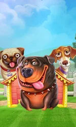 The Dog House